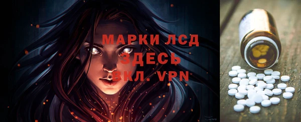 ПСИЛОЦИБИНОВЫЕ ГРИБЫ Горняк