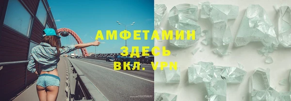 ПСИЛОЦИБИНОВЫЕ ГРИБЫ Горняк
