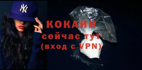 ПСИЛОЦИБИНОВЫЕ ГРИБЫ Горняк