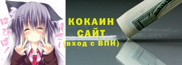 ПСИЛОЦИБИНОВЫЕ ГРИБЫ Горняк