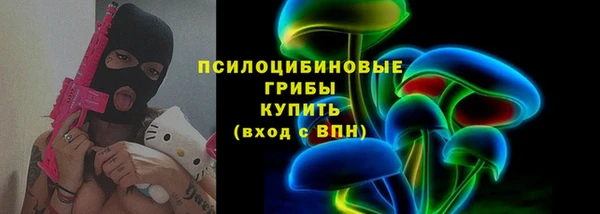 соль ск Горно-Алтайск