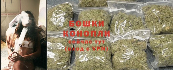 ПСИЛОЦИБИНОВЫЕ ГРИБЫ Горняк