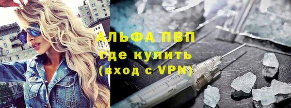 ПСИЛОЦИБИНОВЫЕ ГРИБЫ Горняк