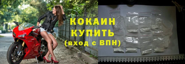 ПСИЛОЦИБИНОВЫЕ ГРИБЫ Горняк