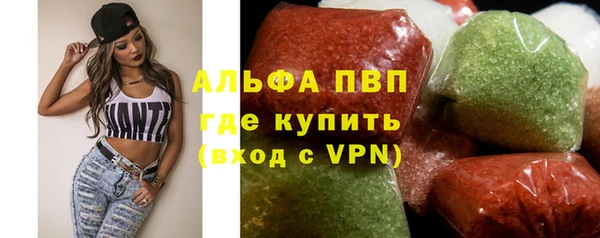 ПСИЛОЦИБИНОВЫЕ ГРИБЫ Горняк